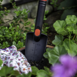 Istutuslapio, kapea malli