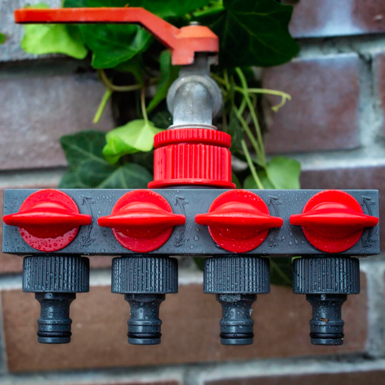 Vesihanan jakotukki, 4-haarainen