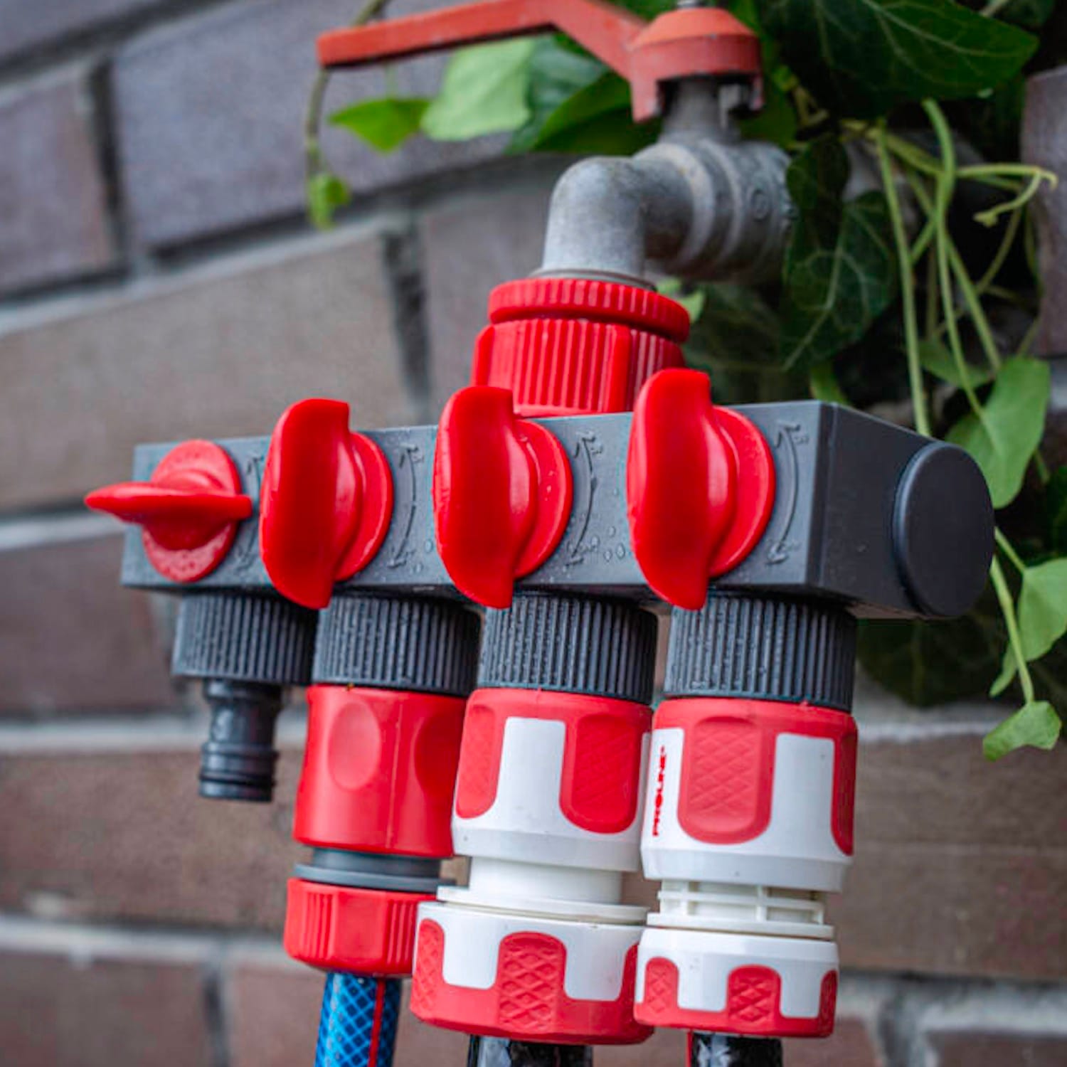 Vesihanan jakotukki, 4-haarainen